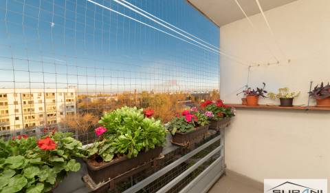 Prodej Byt 2+1, Byt 2+1, Vlčie Hrdlo, Bratislava - Ružinov, Slovensko