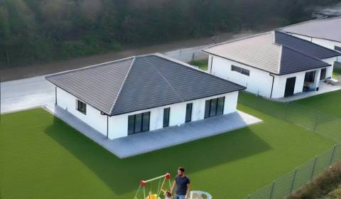 Prodej Rodinný dům, Rodinný dům, Nové Mesto nad Váhom, Slovensko