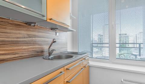 Prodej Byt 1+1, Byt 1+1, Ružová dolina, Bratislava - Ružinov, Slovensk