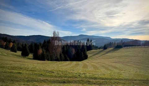 Prodej Pozemky - rekreace, Pozemky - rekreace, Priehybina, Brezno, Slo