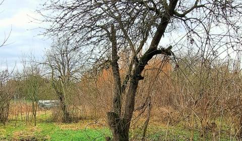 Prodej Pozemky - bydlení, Pozemky - bydlení, Levice, Slovensko