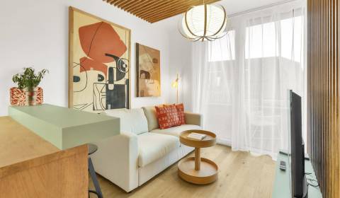 Pronájem Byt 1+1, Byt 1+1, Žižkova, Bratislava - Staré Mesto, Slovensk