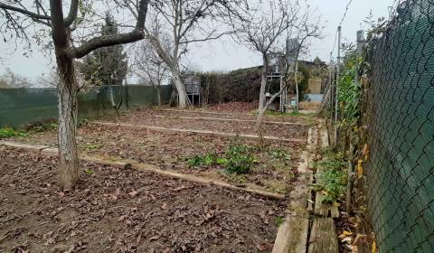 Prodej Zahrady, Zahrady, Zvolen, Slovensko