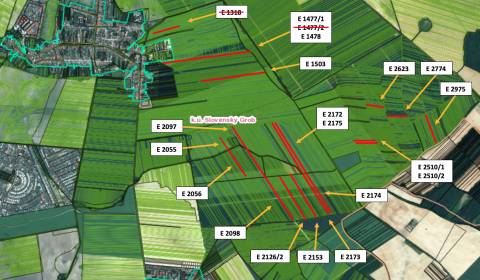 Prodej Zemědělské a lesní, Zemědělské a lesní, Pezinok, Slovensko