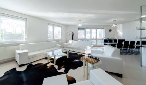 Pronájem Byt 5+1 a víc, Byt 5+1 a víc, Staré grunty, Bratislava - Karl