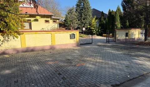 Prodej Prostory pro obchod, Prostory pro obchod, Park a hlavná cesta, 