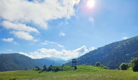 Prodej Zemědělské a lesní, Zemědělské a lesní, Žilina, Slovensko