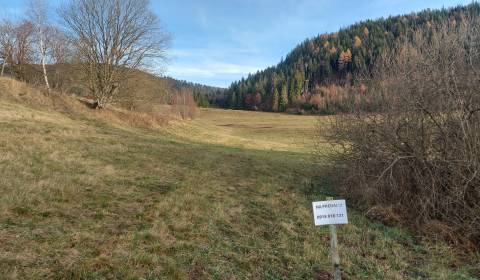 Prodej Zemědělské a lesní, Zemědělské a lesní, Brezno, Slovensko