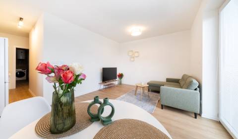 Pronájem Byt 2+1, Byt 2+1, Veltlínska, Nitra, Slovensko