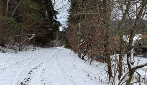 Prodej Pozemky - rekreace, Pozemky - rekreace, Čertov, Púchov, Slovens