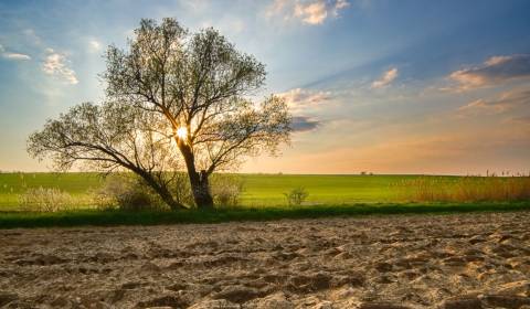 Prodej Zemědělské a lesní, Zemědělské a lesní, Banská Bystrica, Sloven