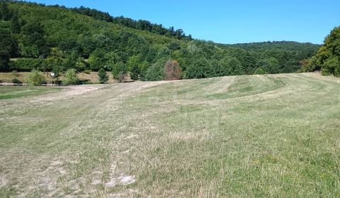 Prodej Zemědělské a lesní, Zemědělské a lesní, Krupina, Slovensko