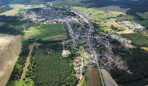 Prodej Zemědělské a lesní, Zemědělské a lesní, Malacky, Slovensko