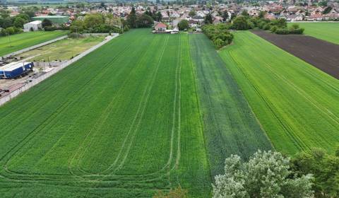 Prodej Pozemky - bydlení, Pozemky - bydlení, Slaná dolina, Galanta, Sl