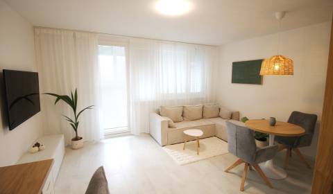 Pronájem Byt 1+1, Byt 1+1, Valová, Piešťany, Slovensko