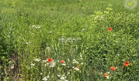 Prodej Pozemky - bydlení, Košice-okolie, Slovensko