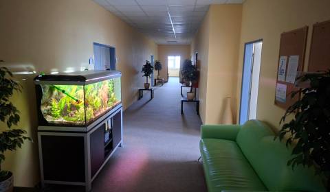 Pronájem Kancelářské prostory, Kancelářské prostory, Drobného, Bratisl