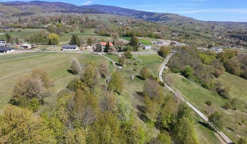 Prodej Pozemky - bydlení, Pozemky - bydlení, Blato - (konečná 234), De