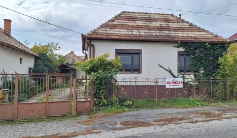 Rodinný dům 1+3 s ústředním topením + hospodářské budovy