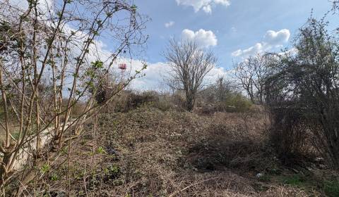 Prodej Pozemky - bydlení, Pozemky - bydlení, Domkárska, Bratislava - R
