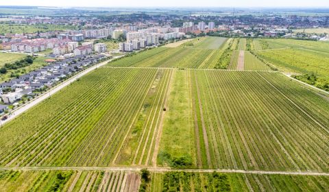 Prodej Pozemky - rekreace, Pozemky - rekreace, Panský chodník, Pezinok