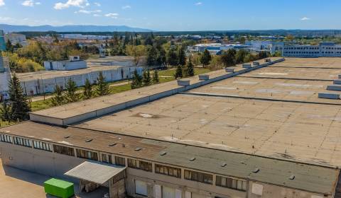 Pronájem Haly a sklady, Haly a sklady, Továrenská, Senica, Slovensko