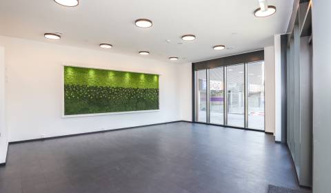 Pronájem Prostory pro obchod, Prostory pro obchod, Súkennícka, Bratisl