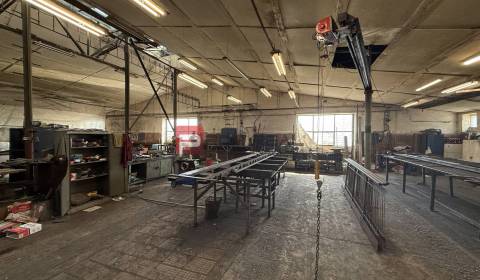 Pronájem Haly a sklady, Haly a sklady, Mlynská, Pezinok, Slovensko