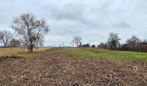 Prodej Pozemky - bydlení, Pozemky - bydlení, Košice-okolie, Slovensko