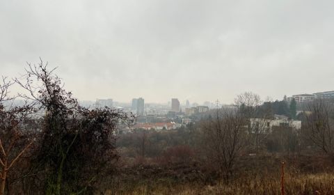 Prodej Pozemky - bydlení, Pozemky - bydlení, Briežky, Bratislava - Nov