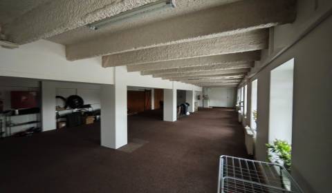 Pronájem Kancelářské prostory, Kancelářské prostory, Zalužice, Michalo