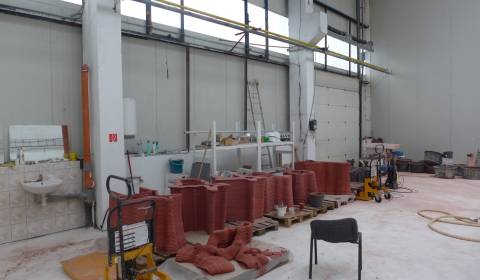 Pronájem Haly a sklady, Haly a sklady, Bratislava - Nové Mesto, Sloven