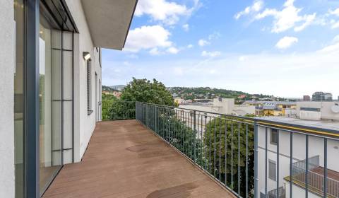 Pronájem Byt 4+1, Byt 4+1, Vlčkova, Bratislava - Staré Mesto, Slovensk