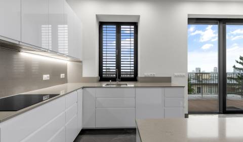 Pronájem Byt 4+1, Byt 4+1, Vlčkova, Bratislava - Staré Mesto, Slovensk