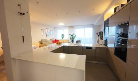 Pronájem Byt 4+1, Byt 4+1, Žriedlová, Košice - Staré Mesto, Slovensko