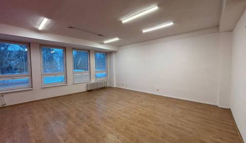 Pronájem Kancelářské prostory, Kancelářské prostory, Dostojevského, Po