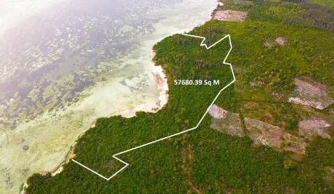 57 000 m² nezkrotného luxusu: Pozemek pro výstavbu na pláži Zanzibaru