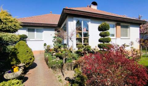 Prodej Rodinný dům, Rodinný dům, Šaľa, Slovensko