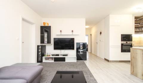 Prodej Byt 3+1, Byt 3+1, Vladimíra Predmerského, Trenčín, Slovensko