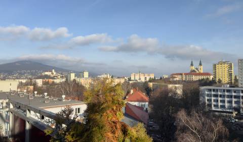 Prodej Byt 1+1, Byt 1+1, Štúrova, Nitra, Slovensko