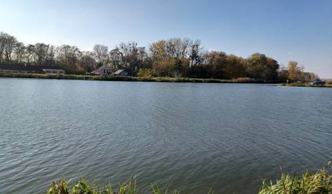 Prodej Zemědělské a lesní, Zemědělské a lesní, Galanta, Slovensko