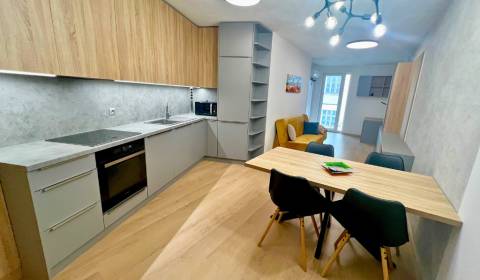 Pronájem Byt 2+1, Byt 2+1, Mickiewiczova, Bratislava - Staré Mesto, Sl