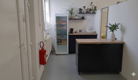 Pronájem Haly a sklady, Haly a sklady, Trstínska cesta, Trnava, Sloven