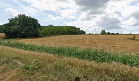 Prodej Pozemky - bydlení, Pozemky - bydlení, Pod Hájom, Nitra, Slovens