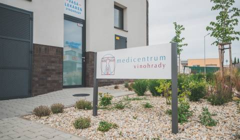 Pronájem Prostory pro obchod, Prostory pro obchod, Vladimíra Predmersk