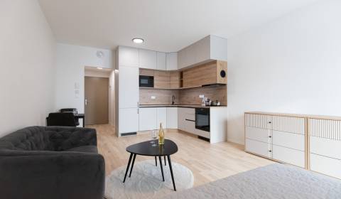 Pronájem Byt 1+1, Byt 1+1, Bottova, Bratislava - Staré Mesto, Slovensk