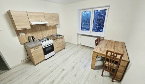 Pronájem Byt 2+1, Byt 2+1, Bánovce nad Bebravou, Slovensko