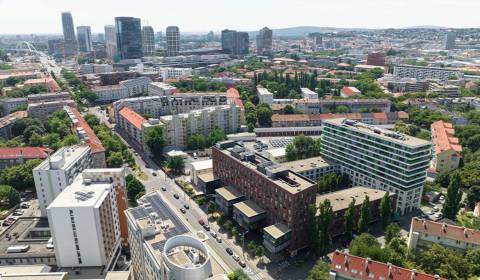 Pronájem Kancelářské prostory, Kancelářské prostory, Košická, Bratisla