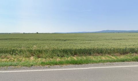Prodej Zemědělské a lesní, Zemědělské a lesní, Pezinok, Slovensko
