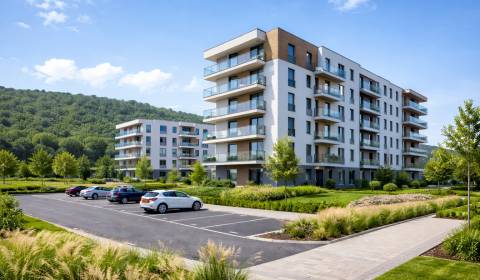 Pronájem Byt 1+1, Byt 1+1, Bytča, Slovensko